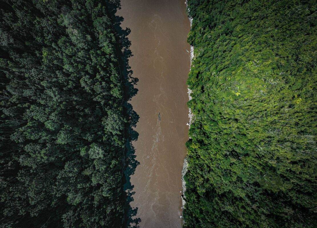 Pour chaque dollar investi dans la nature, trente vont à sa destruction
