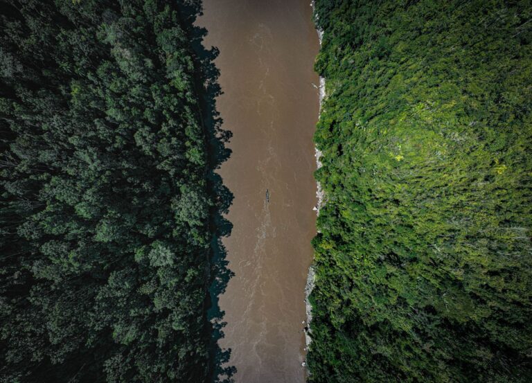 Pour chaque dollar investi dans la nature, trente vont à sa destruction