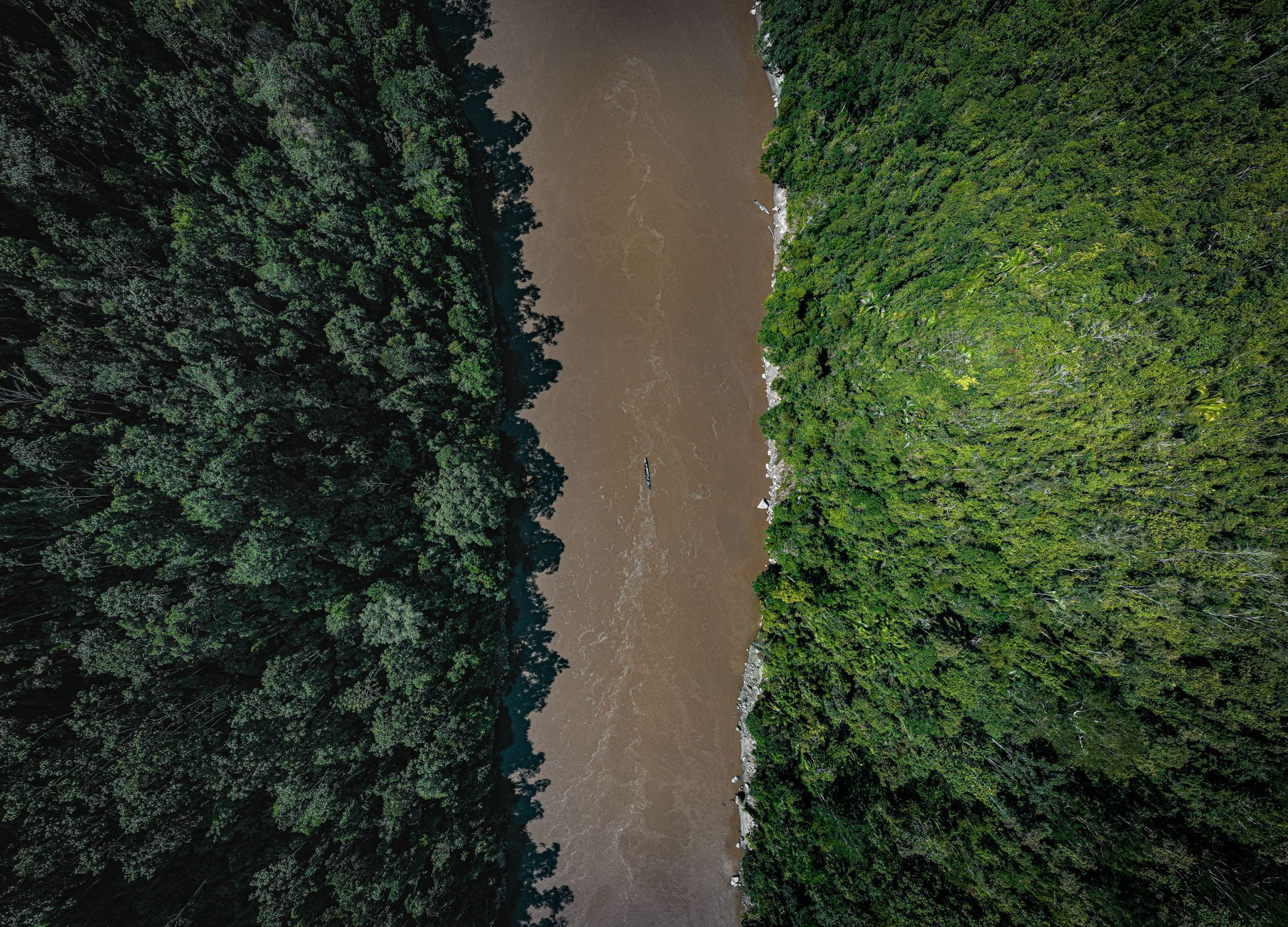 Pour chaque dollar investi dans la nature, trente vont à sa destruction